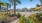 a tropical area with palm trees and buildings